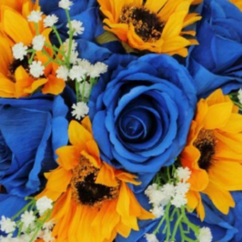 Meet your Posher, Alana